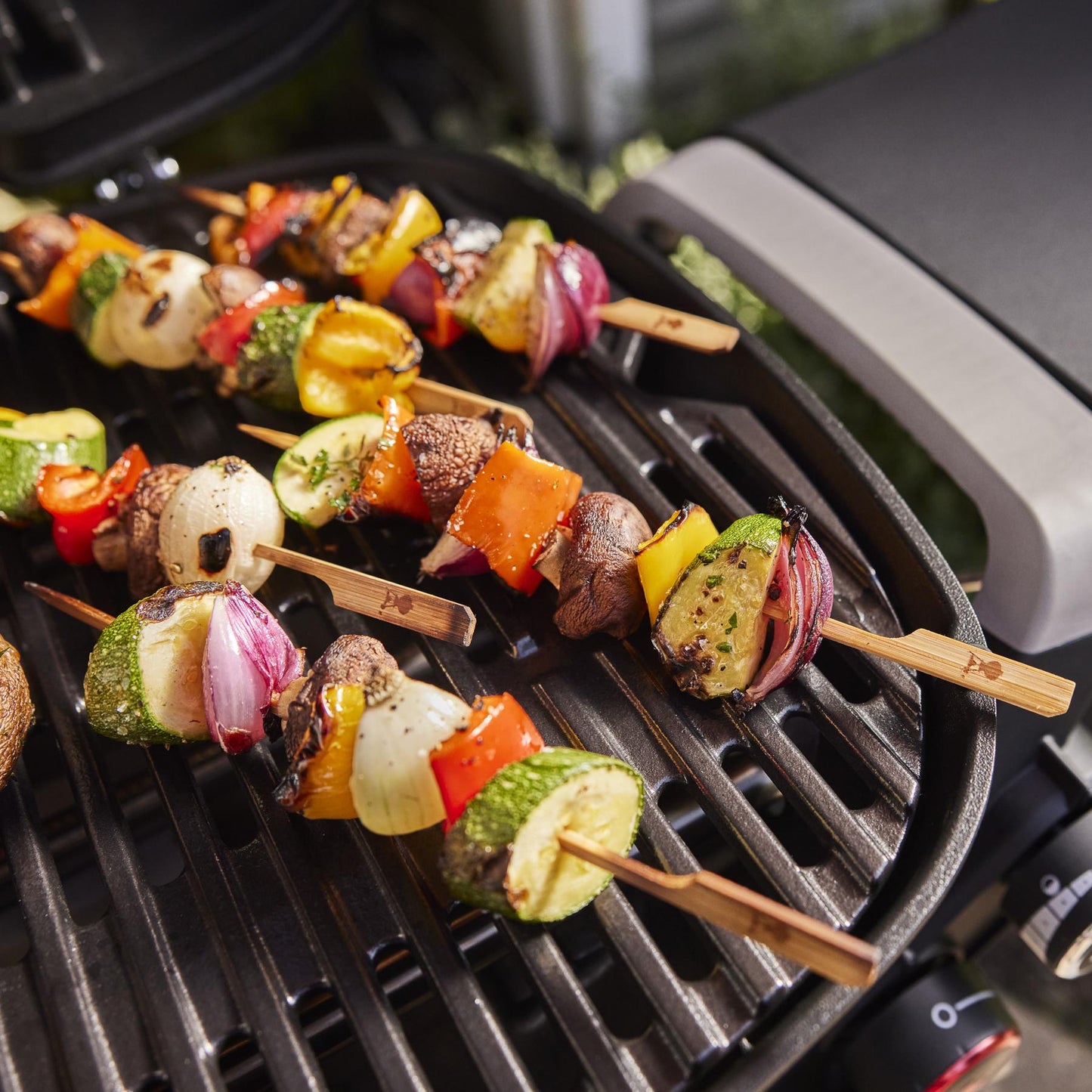 WEBER 1500376 Weber Q 2800n+ Gas Grill (liquid Propane) - Smoke Grey