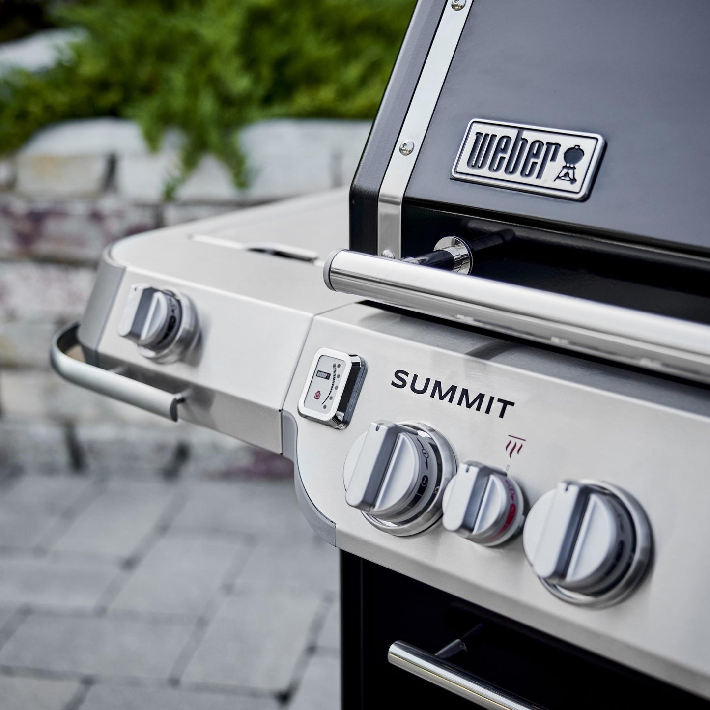 WEBER 1500029 Weber Summit Fs38 E Gas Grill (liquid Propane) - Black