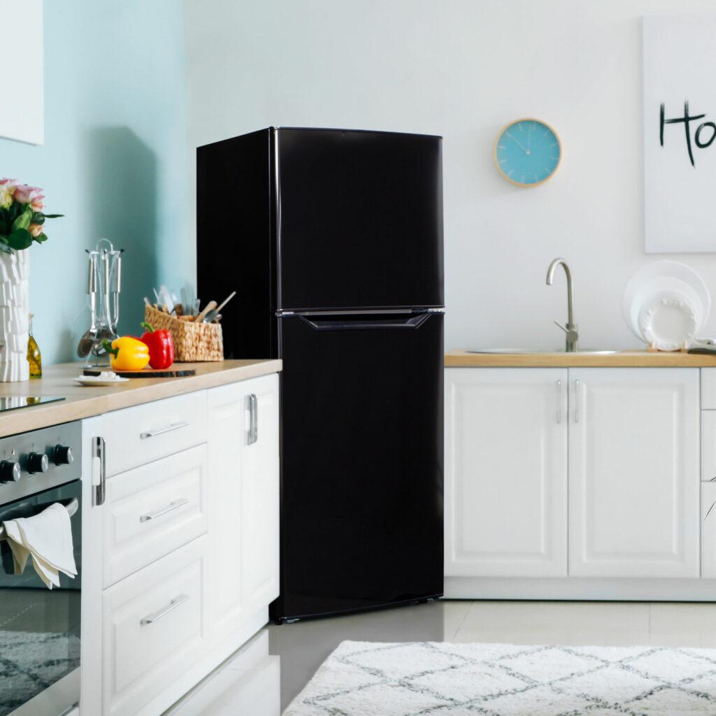 DANBY DFF101B1BDB Danby 10.1 Cu. Ft. Apartment Size Refrigerator