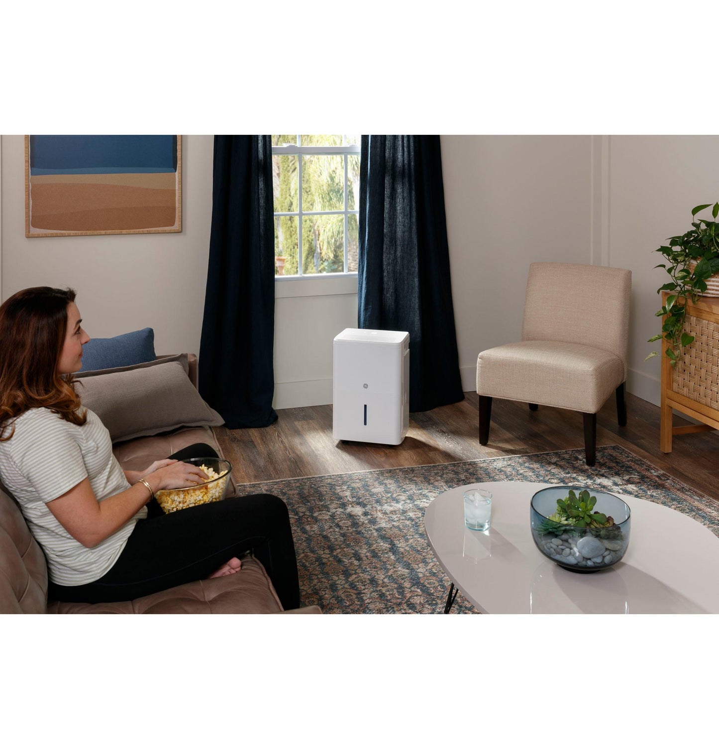 GE APPLIANCES ADHR22LB Ge 22 Pint Energy Star Portable Dehumidifier With Smart Dry F...