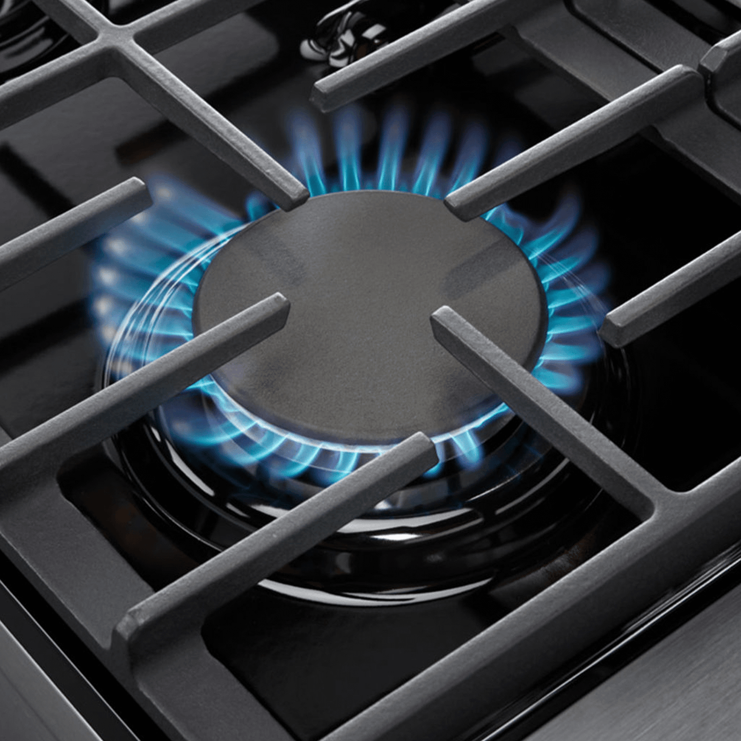 THOR KITCHEN LRG3001ULP Thor Kitchen 30 Inch Gas Range In Stainless Steel - Liquid Propane
