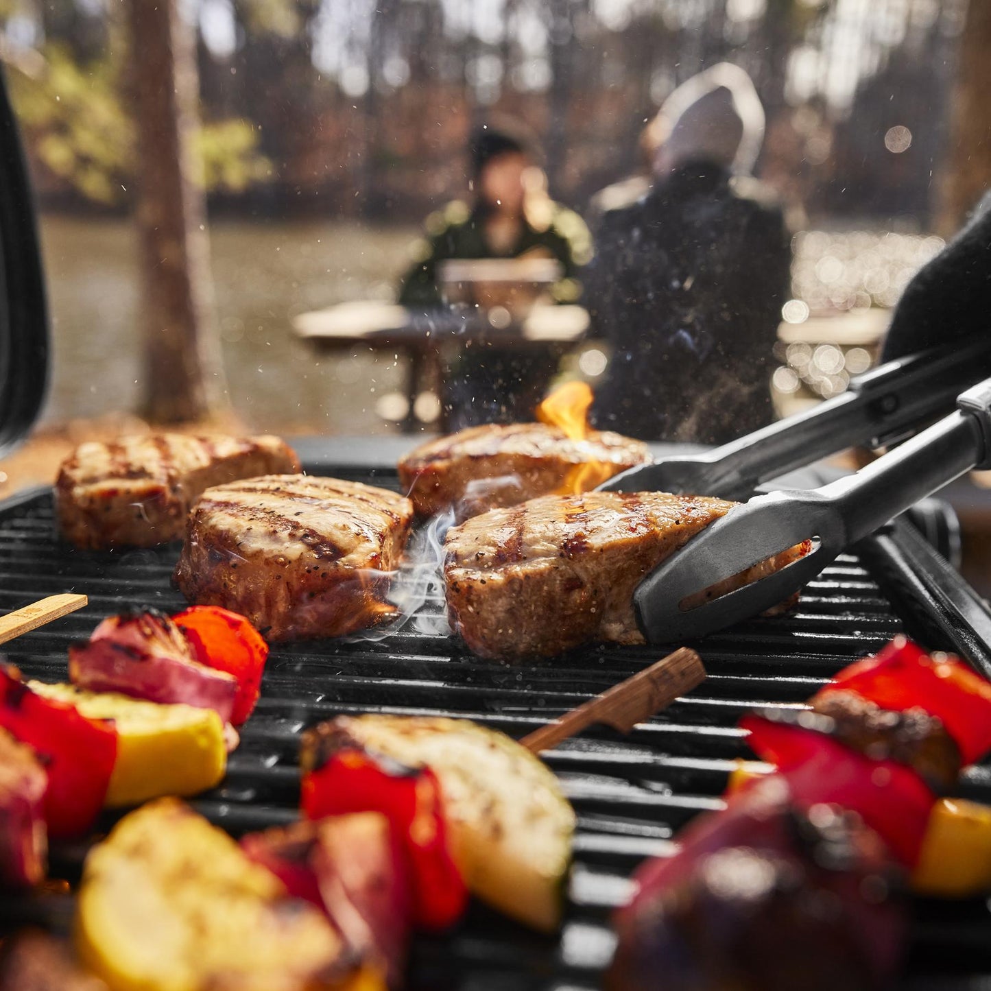 WEBER 1500460 Weber Traveler Compact Portable Gas Grill - Black
