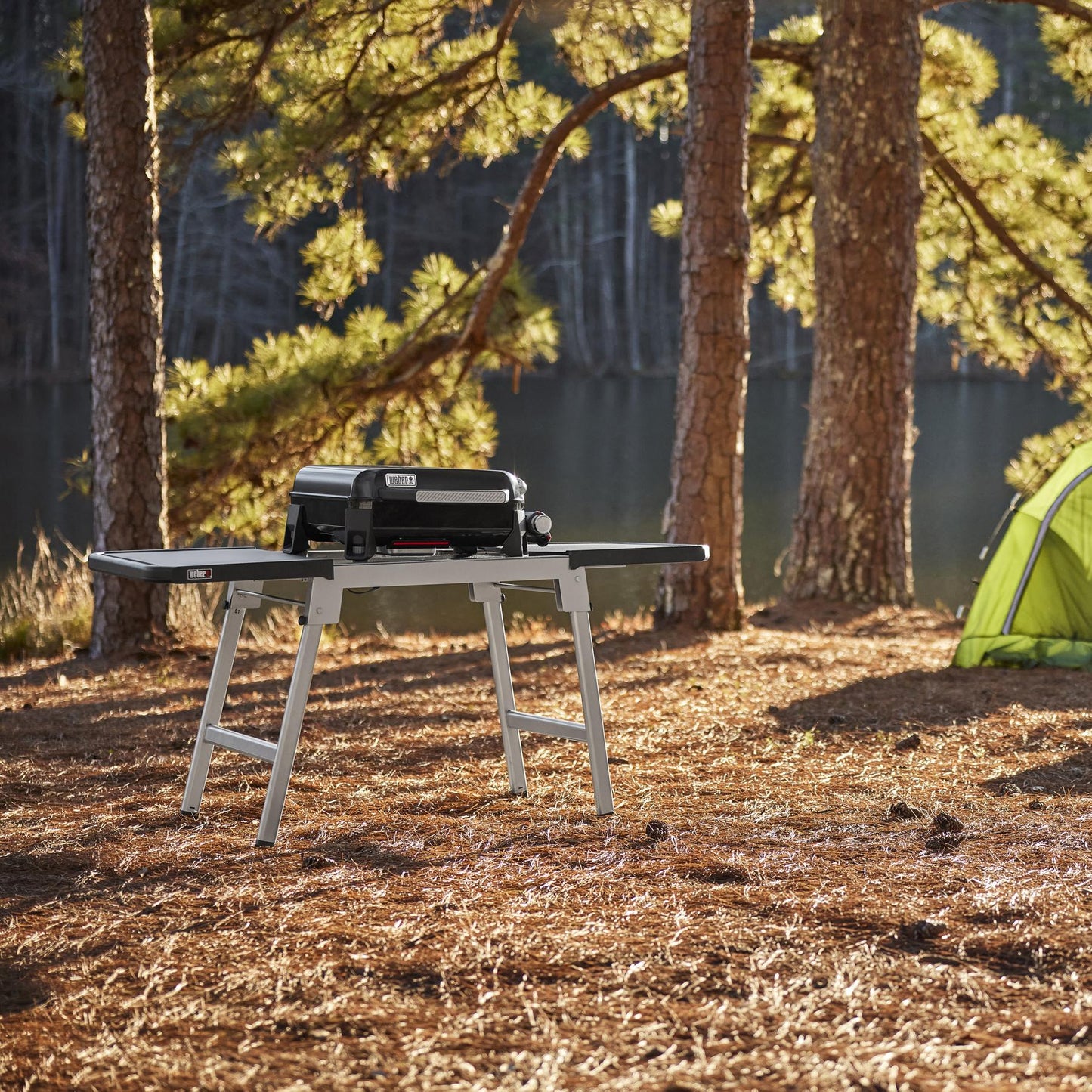 WEBER 1500012 Weber Traveler 17"" Portable Griddle - Black
