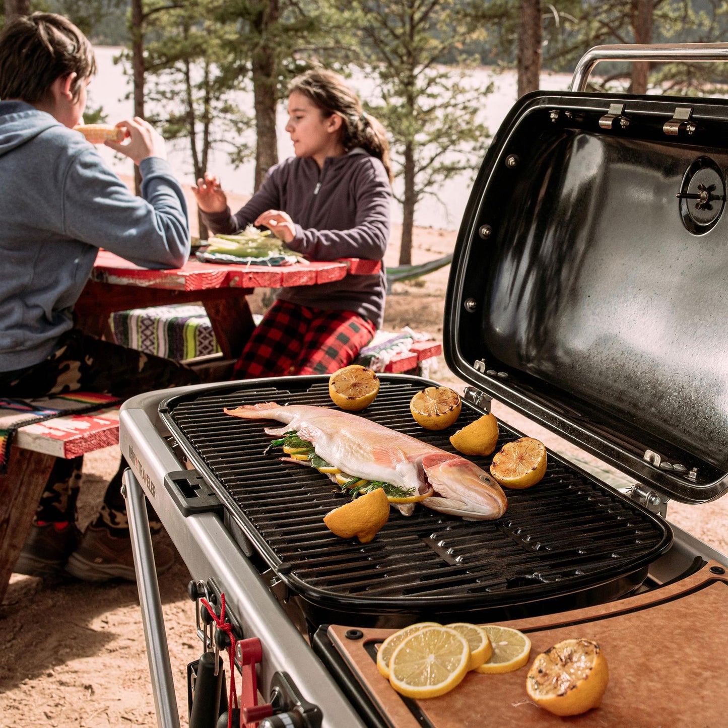WEBER 9010001 Weber Traveler Portable Gas Grill - Black