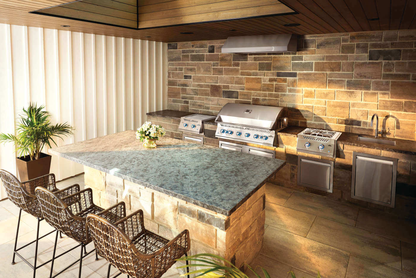 NAPOLEON BBQ BIG44RBNSS1 Built-in 700 Series 44 With Dual Infrared Rear Burners , Natural GA...