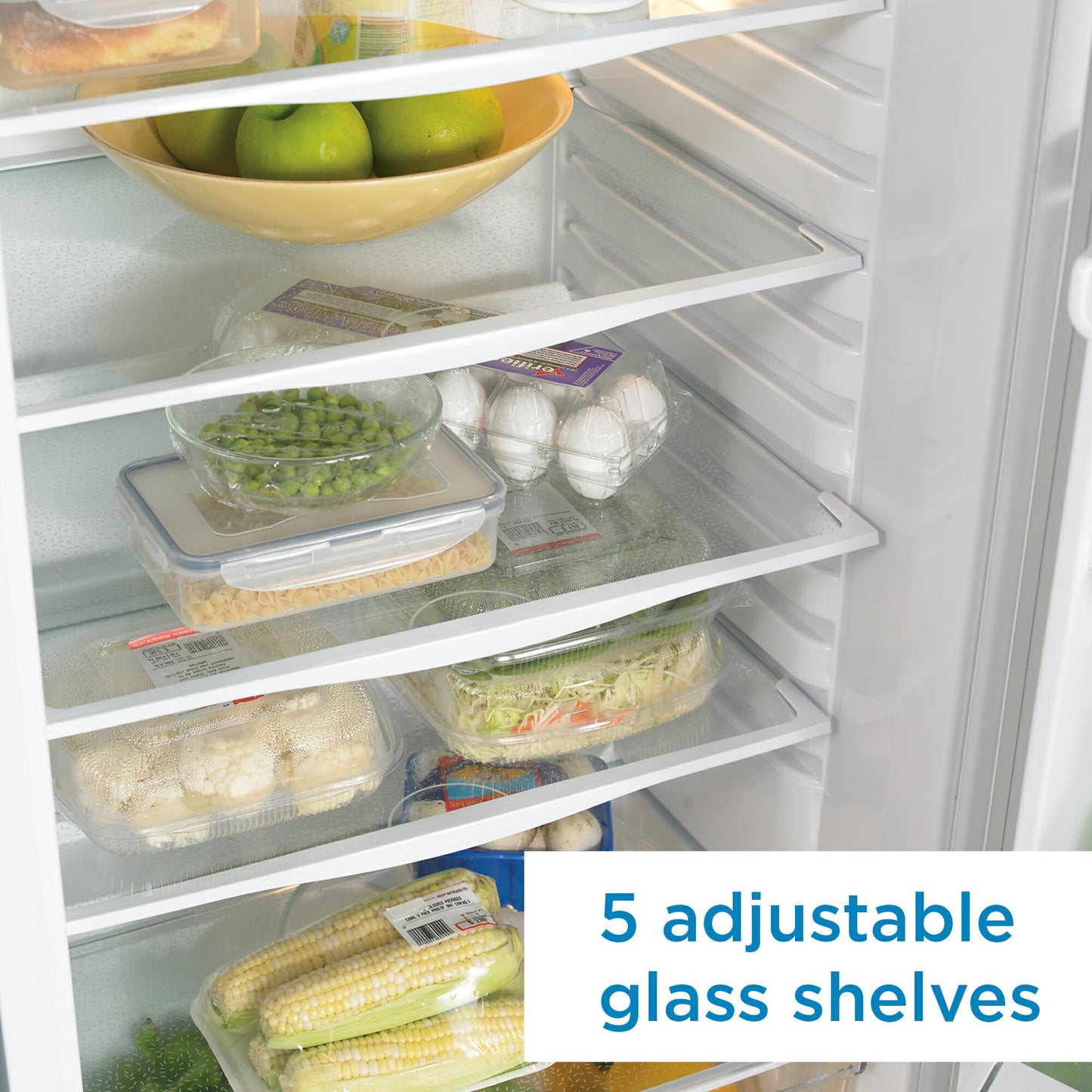DANBY DAR110A1WDD Danby 11.00 Cu. Ft. Refrigerator