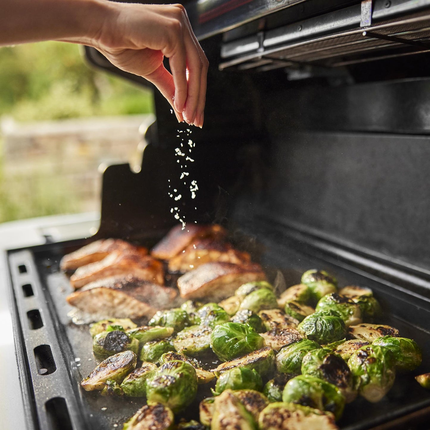 WEBER 1500040 Weber Summit Fs38 E Gas Grill (natural Gas) - Black