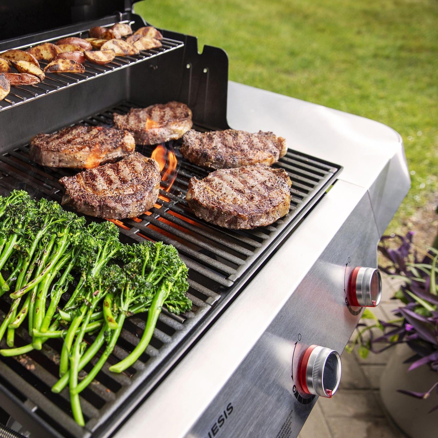 WEBER 1500011 Weber Genesis E-315 - Black Natural Gas
