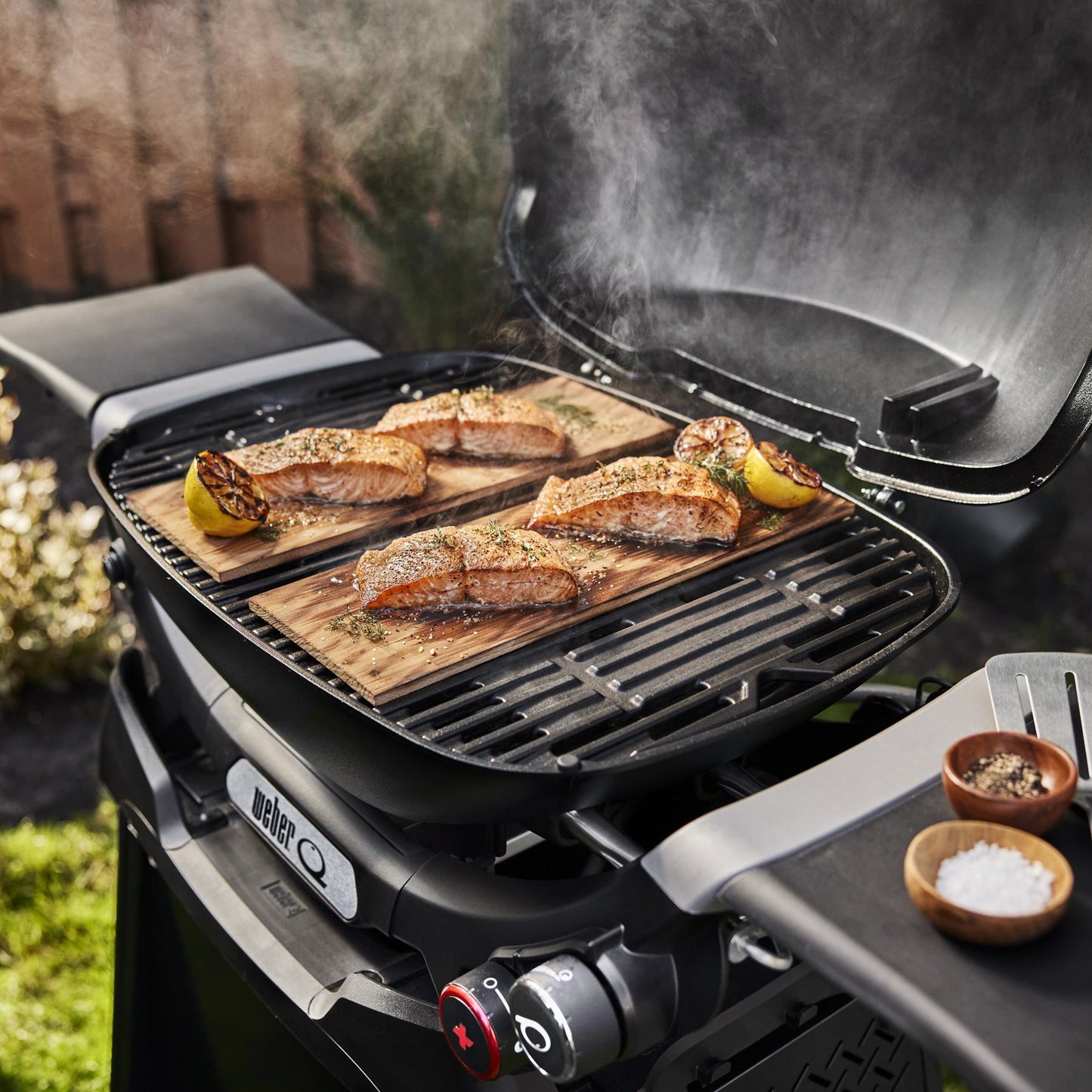 WEBER 1500392 Weber Q 2800n+ Gas Grill With Stand (liquid Propane) - Smoke Grey