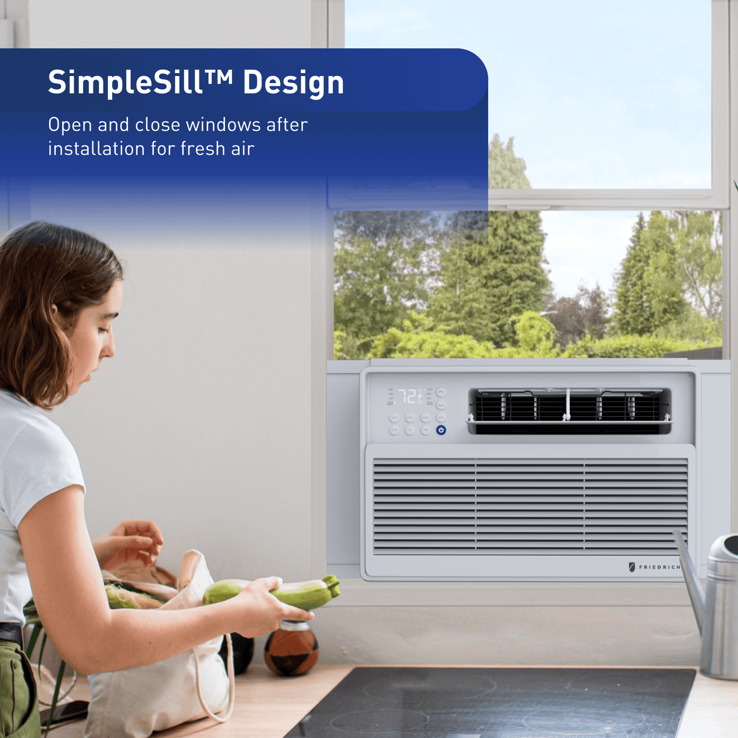 FRIEDRICH CCV18A30A Friedrich Chill Premier Inverter Ccv18a30a