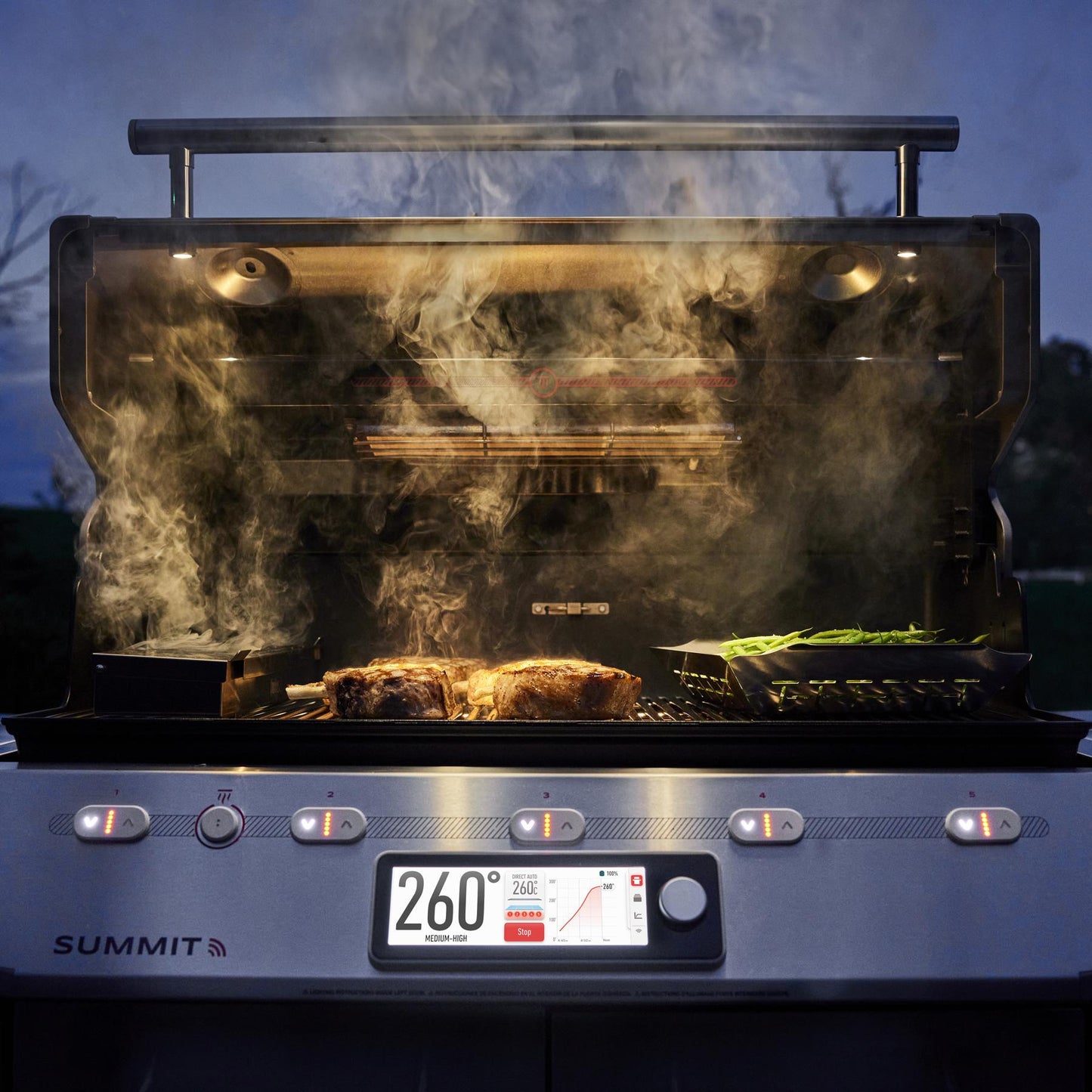 WEBER 1500053 Summit Smart Fs38x S Gas Grill (natural Gas) - Stainless Steel