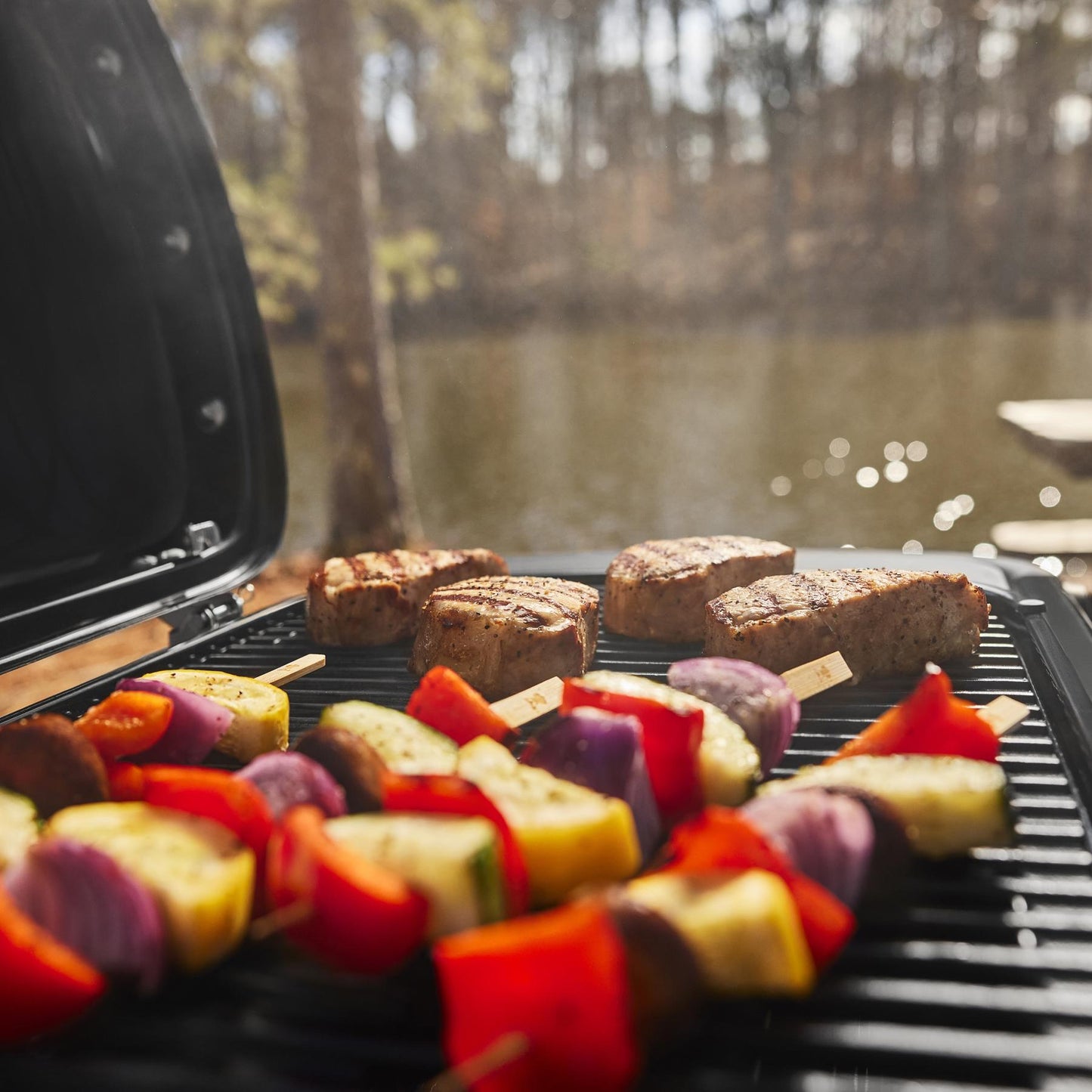 WEBER 1500460 Weber Traveler Compact Portable Gas Grill - Black