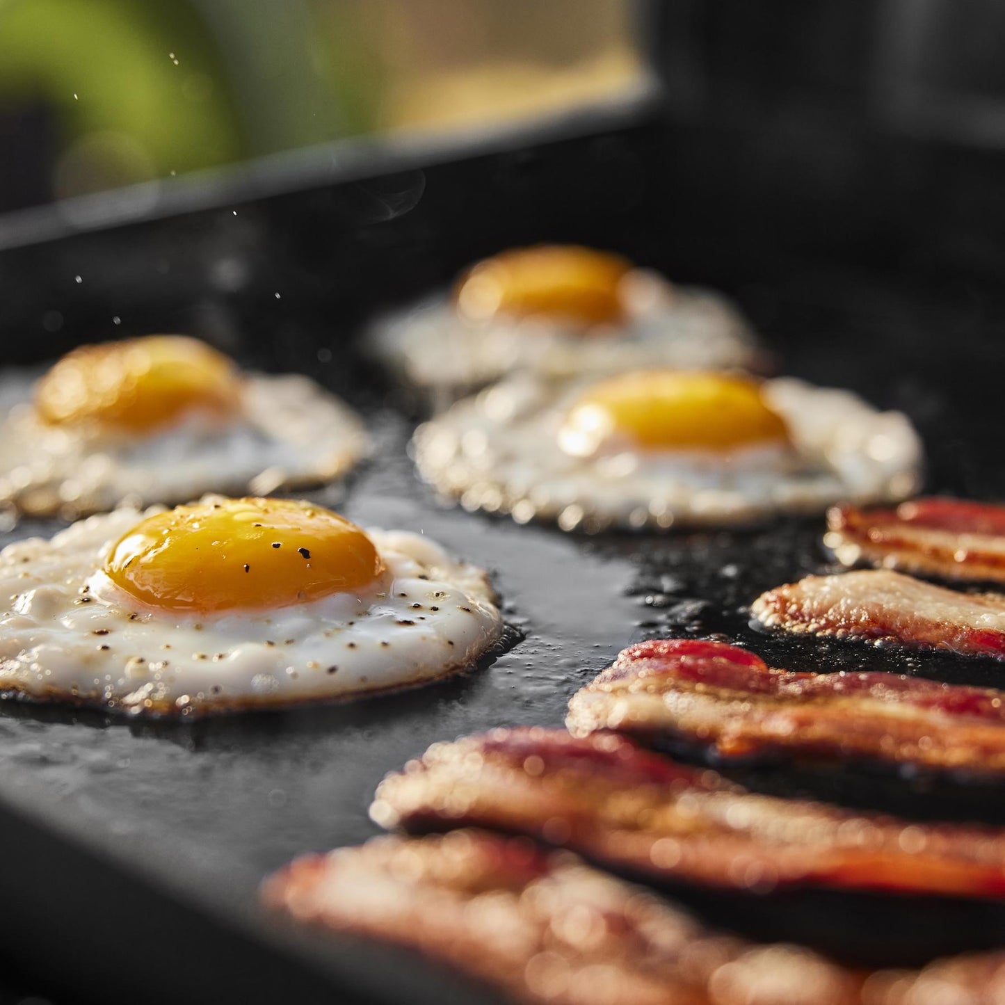 WEBER 1500213 Weber Traveler 22"" Portable Griddle - Black