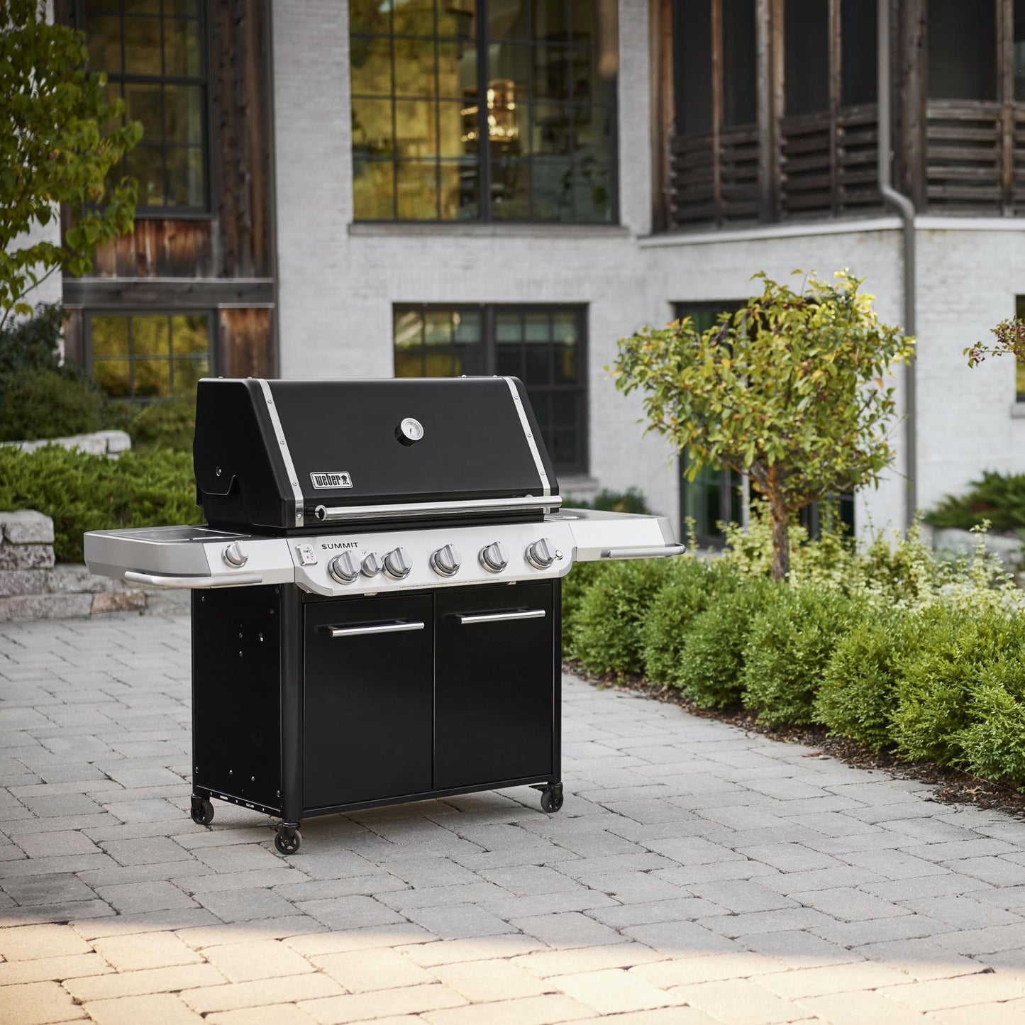 WEBER 1500029 Weber Summit Fs38 E Gas Grill (liquid Propane) - Black