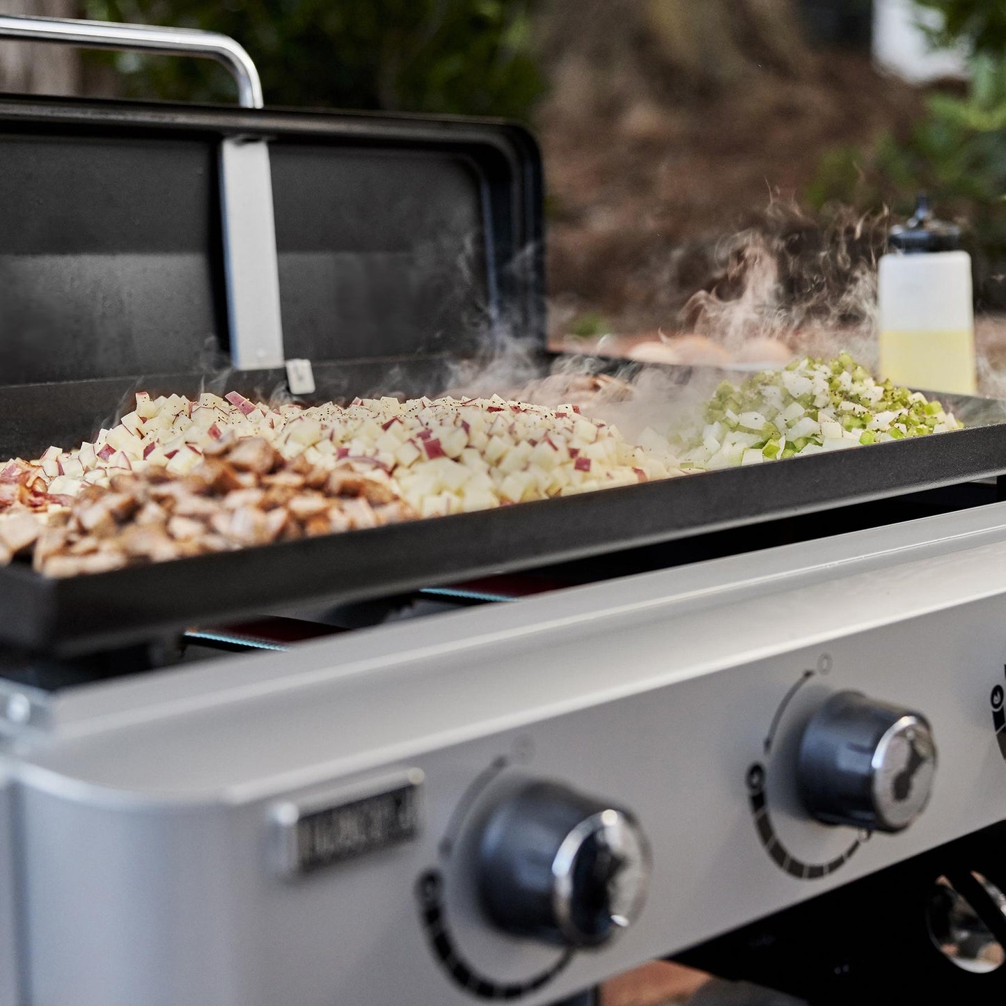 WEBER 43310201 Weber Griddle 28