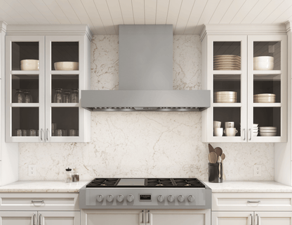 ZEPHYR ZRPE48BS Zephyr 48"" Roma Pro Wall